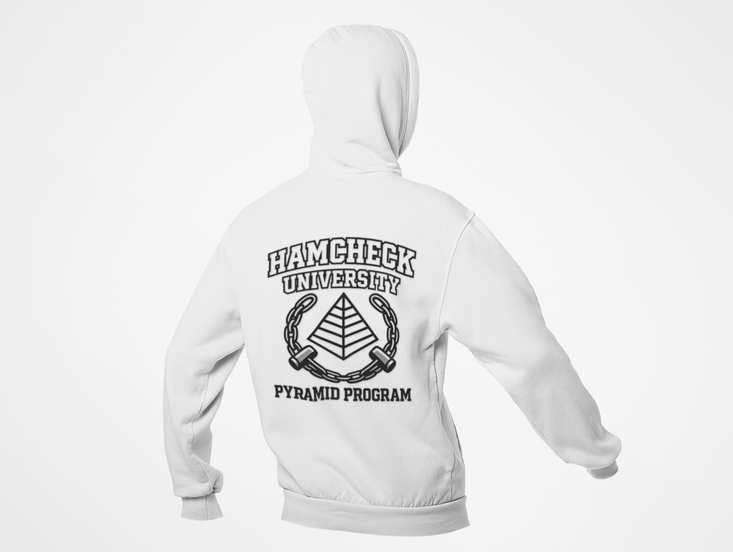 Pyramid Program - Hoodie